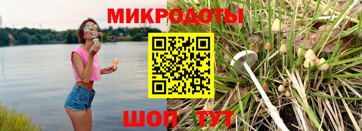Псилоцибиновые грибы GOLDEN TEACHER  Вход с VPN  Рузаевка 